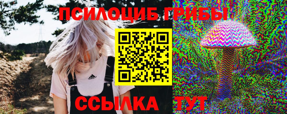 Псилоцибиновые грибы мицелий Алексеевка